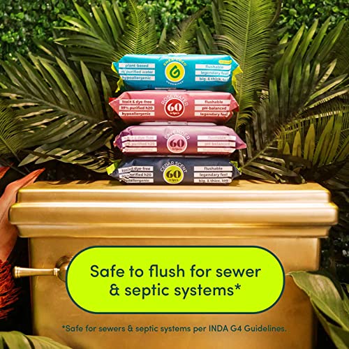 Goodwipes Flushable Butt Wipes Made w/Soothing Botanicals & Aloe Soft