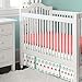 Carousel Designs Coral and Teal Arrow 2-Piece Crib Bedding Set