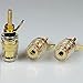 Facmogu 2 Pairs Mini Gold Plated Insulated 5-Way Binding Post Banana Plugs 4mm, 24K Gold Plated Sold Brass Amplifier Speaker Terminal Binding Post Banana Jack - Long