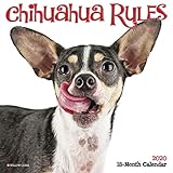 Chihuahua Rules 2020 Mini Wall Calendar (Dog Breed Calendar) by 