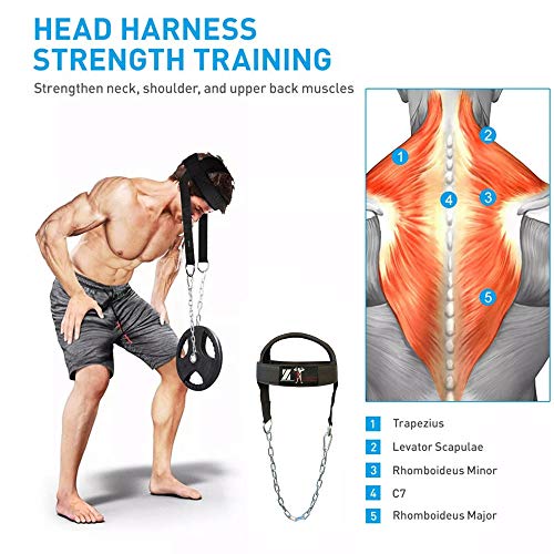 Neck Harness for Neck Fitness Exercise Extra-Heavy D-Rings and Steel Chain, Comfort Fit Neoprene, Excellent Saddle Stitching, Stronger Neck & Traps Adjustable (Black, Standard)