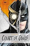 DC Comics novels - Batman: The Court of Owls: An Original Prose Novel by Greg Cox by Greg Cox