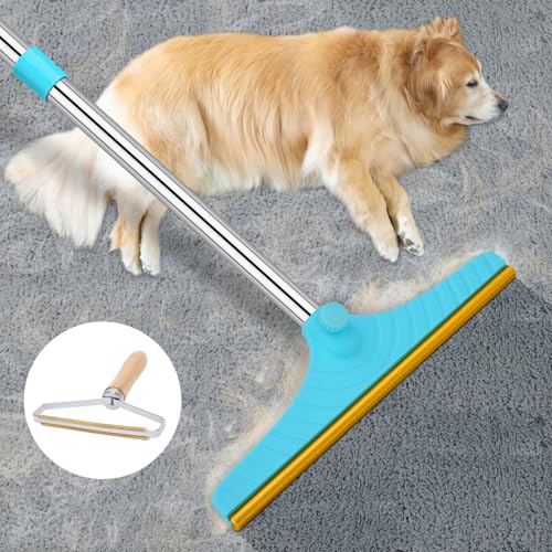 Eaersan Carpet Rake