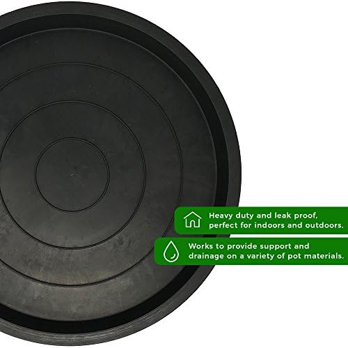 Plant Saucers (12 Inch)