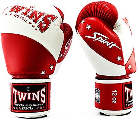 twins kickboxing gloves