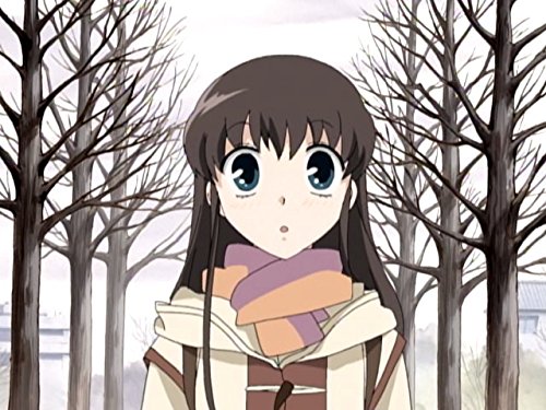 Watch Fruits Basket (2001) | Prime Video
