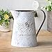 VANCORE French Style Shabby Chic Mini Metal Pitcher Flower Vase with Vintage Bird Decorative