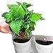 SELF Watering Vertical Wall Hangers with Pots Included – Wall Plant Hangers – Each Wall Mounted Hanging Pot has 3 Pockets – 36 Total Pockets in This Set – Self Watering Planter Setthumb 3