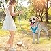BARKBAY Dog Harness No Pull with ID Tag Pocket - Heavy Duty, Reflective, Easy Control for Large Dogs(Ocean Blue,M)