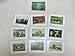 John Deere Collectible Playing Cards