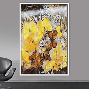 signwin Framed Canvas Wall Art Butterflies Butterfly Colorful...