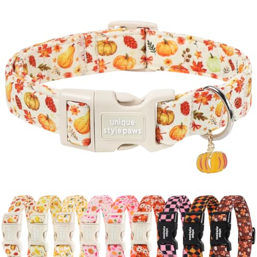 Unique Style Paws Autumn Pumpkin Dog Collar