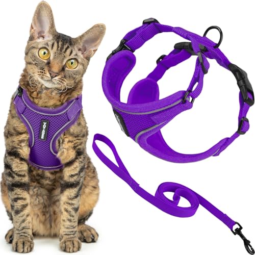 Voyager Best Pet Supplies - Juego de arnés y Correa para Gatos a Prueba de Escapes, con Costuras Reflectantes, Mango de Neopreno de 1,5 m, soporta Gatos pequeños, medianos y Grandes, Gatitos para