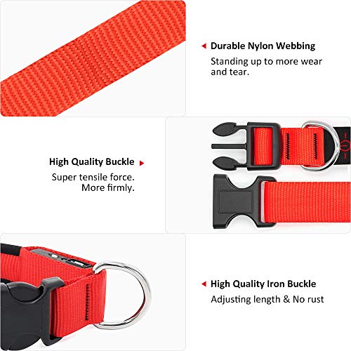 BSEEN Light Up Dog Collars - USB Rechargeable Glowing LED Puppy Collar, Light Up Collars for Nighttime Dog Walking (Small, Ruby Red)