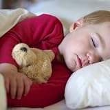 NTBAY 2 Pack 500 Thread Count Egyptian Cotton Toddler Pillowcases 40x60 White view 2
