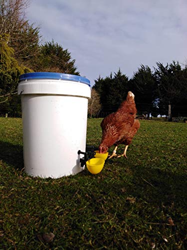 Lil Clucker 4 Large Automatic Chicken Waterer Cups 20 Leg Bands