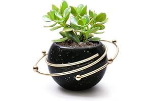 SOSFKIM Succulent Ceramic Pots, 5 Inch Modern Low Temperature Ceramic Flower Pot with Metal Spiral for Cactus, Herbs, Home and Office Decor, Plants Not Included