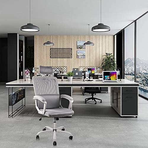 Smugdesk Ergonomic Office Chair, High Back Mesh Desk Office Chair
