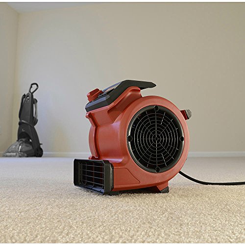 Craftsman Best Floor Fan Air Blower For Drying Flat Surfaces 3