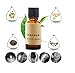 Pettstore Organic Hair Growth Essence Fuid for Hair-nutrition Treatments 20ml