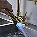 Rozin LED Light Pull Down Spray Kitchen Mixer Tap Single Hole Swivel Spout Sink Faucet with 8 Inch Holes Deck Plate Gold Polished