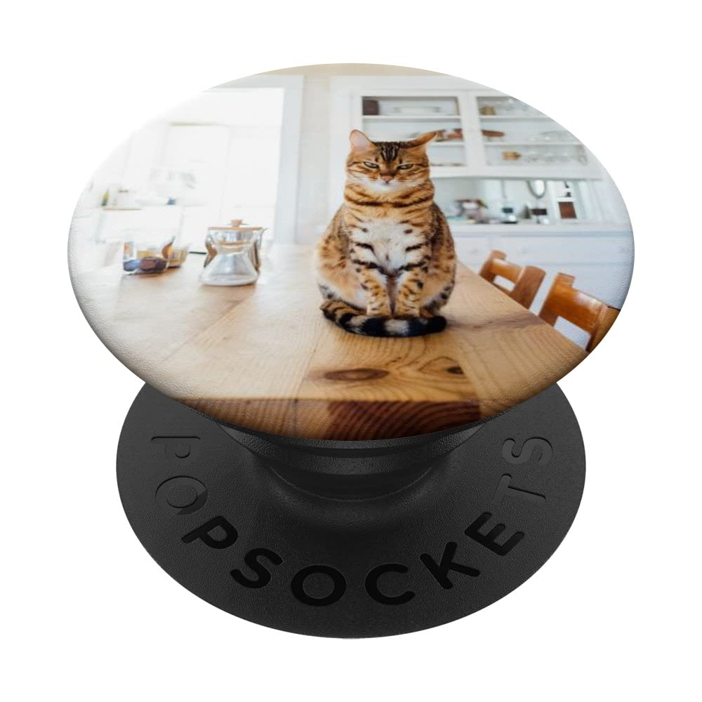 Tortoiseshell Cat PopSockets Swappable PopGrip
