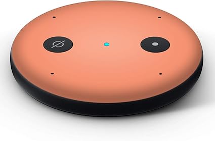 amazon echo input release date
