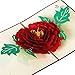 Paper Spiritz Peony Pop up Cards Birthday, Mothers Day Cards, 3D Popup Greeting Cards for Valentines Day, Handmade Graduation Sympathy Blank Card, Laser Cut with Envelopes all Occasion (2025_FBA)