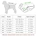 Didog Reflective Dog Winter Coat Sport Vest Jackets Snowsuit Apparel - 8 for Small Medium Large Dogs,Red,4XL Size