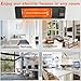 TRUSTECH rustech Electric Patio, Infrared Heater with Remote Control, Timed Auto Shut Off, 1500W Adjustable Thermostat, 3 Seconds Instant Warm Easy Install Wall Mount Indoor/Outdoor Backyard Garage