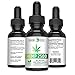 Hemp Oil for Pain Relief 2,500mg - Natural Pain Reliever - Anti-Anxiety SupportImprove Sleep & Sleep Patterns - Joint Health - Zero CBD THC - Hemp Beginnings