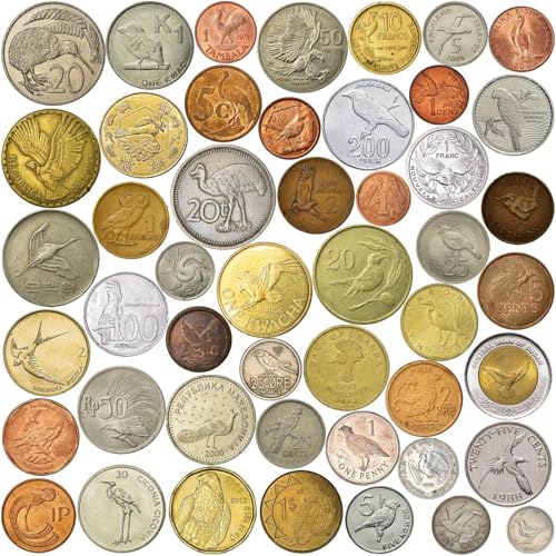 30 Bird Coins