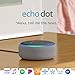 Echo Dot (3rd Gen) - Smart speaker with Alexa - Heather Gray