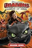 Dragons: Riders of Berk Vol. 1: Dragon Down