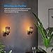AMIR Salt Lamp, Natural Himalayan Salt Rock Lamp, 2 Pack Salt Crystal Night Lights with Modern Design Metal Lampshade, UL Approved Wall Plug, for Decoration, Lighting, Air Purifying, 4 Bulbs Included