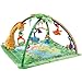 Fisher-Price Rainforest Gym