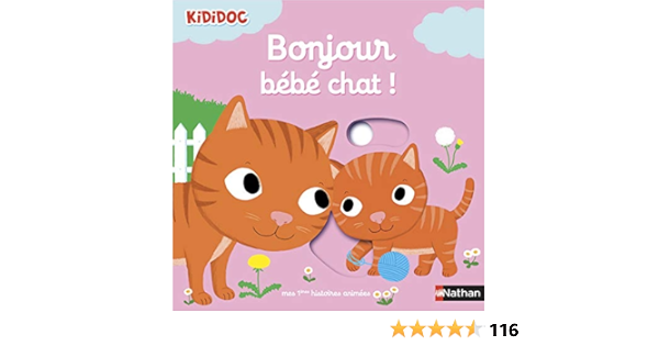 Amazon Com Bonjour Bebe Chat 1 Kididoc Histoires French Edition Choux Nathalie Books