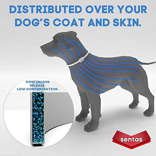Dog Flea and Tick Collar - Flea and Tick Prevention for Dogs Up to 1 Year Easily Adjustable and Waterproof for Large Small Dogs Flea and Tick Control - Natural Dog Flea Collar for Pet 24.5
