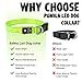 Rechargeable Led Dog Collar – Waterproof Light Up Dog Collar, Safety Pet Collar – Flashing Light Collar for Small, Medium, Large Dogsthumb 1
