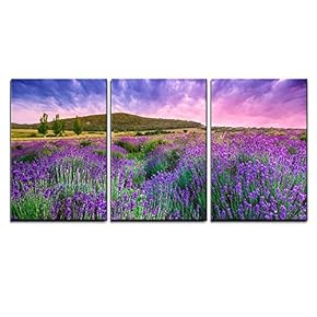 Sunset Over a Lavender Field- Canvas Art Wall Art - 16"x24"x3 Panels