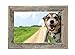 BARNWOODUSA Farmhouse 11x17 Picture Frame 1 1/2 inch Molding 100% Reclaimed Wood Rustic Natural Weathered Gray