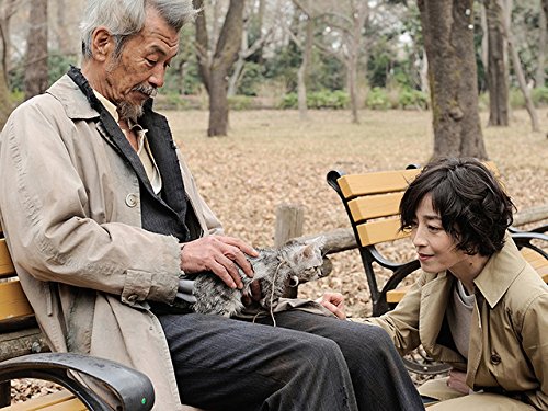 Amazon Co Jp グーグーだって猫であるを観る Prime Video