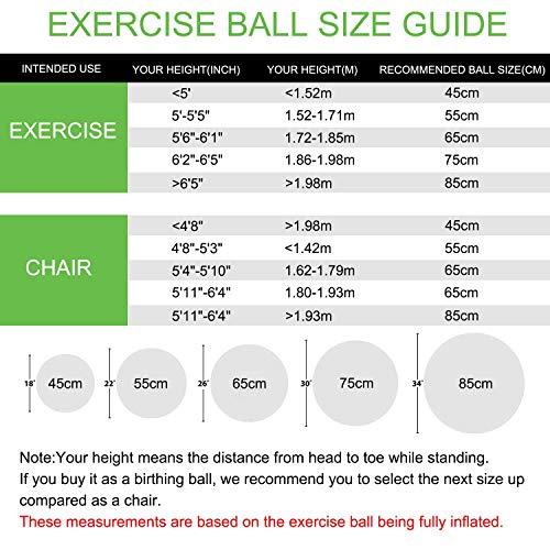 image for TOPLUS Exercise Ball (Multiple Sizes) Thick Yoga Ball Chair for Fitnes