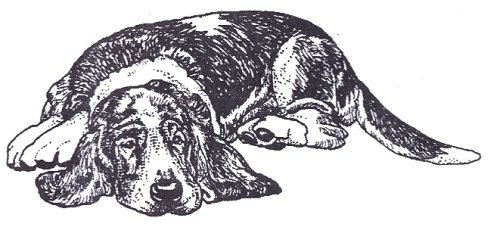 Dog Rubber Stamp - Basset Hound-2F (Size: 3-1/4