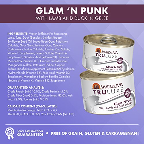 Latest Is Grain Free Bad For Cats Gallery Animal lovers love to have