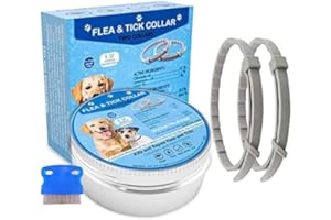 AEEPOTOL Flea Collar for Dogs, Dog Flea Collars Kill Flea and Ticks, 2 Pack Natural Flea and Tick Prevention Collar for Dogs, Water Resistant Dog Tick Collar