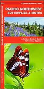 Pacific Northwest Butterflies Amp Moths A Folding Pocket