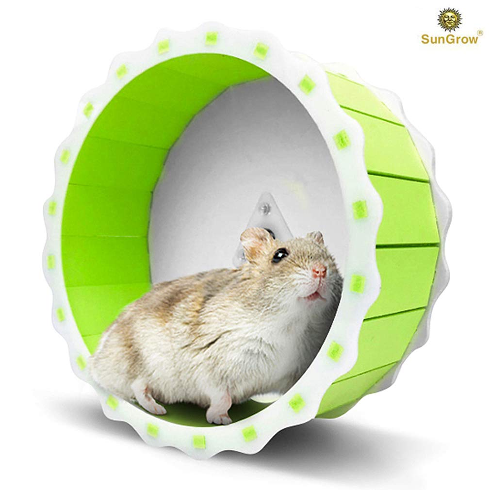 hamster chewing on wheel
