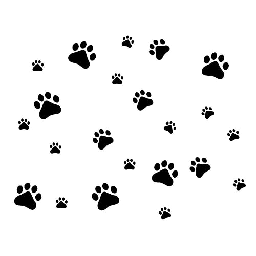 Paw Prints: Amazon.com