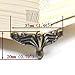 Fujiyuan 10 pcs Alloy Jewelry Chest Box Wood Decorative Feet Leg Corner Protector Bronze 37mm 1.46